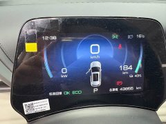 BYD Yuan Plus Glory Edition 430KM Transcend - ფოტო 10