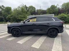 Dongfeng Haoji Mach Power 1.5T Luxury - ფოტო 4