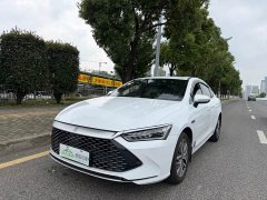 BYD Qin Plus Champion Edition DM-i 120KM Exceed - ფოტო 2
