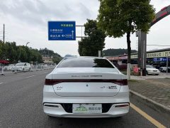 BYD Qin Plus Champion Edition DM-i 120KM Exceed - ფოტო 5
