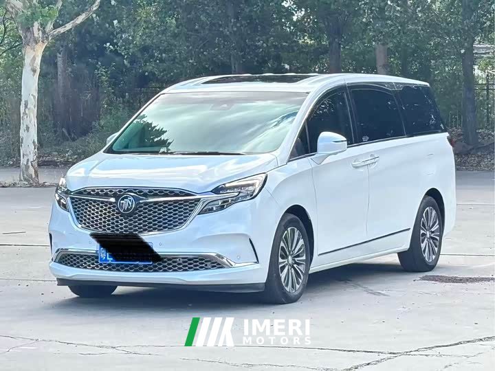 Buick GL8 ES Land Respect 653T Premier - ავტომობილი ჩინეთიდან