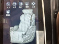 Ruifeng RF8 HarmonyOS Edition 2.0T Flagship - photo 13