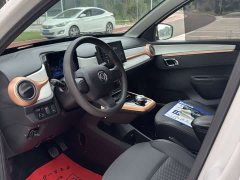 Dongfeng Nano EX1 Nanotech EX1 PRO Light Breeze Standard - ფოტო 4