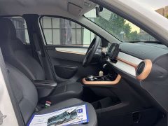 Dongfeng Nano EX1 Nanotech EX1 PRO Light Breeze Standard - ფოტო 6