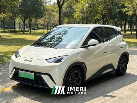 2023 BYD Seagull Flying Edition - ავტომობილი ჩინეთიდან