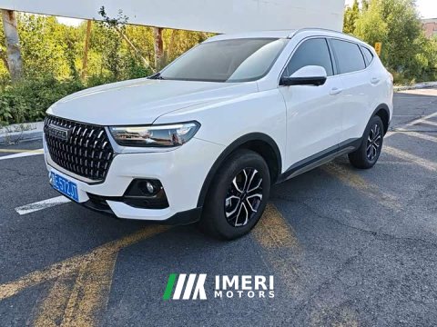 2023 Haval H6 National Trend Edition 1.5T Automatic Urban Version - ავტომობილი ჩინეთიდან