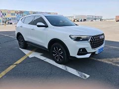 Haval H6 National Trend Edition 1.5T Automatic Urban Version - ფოტო 7
