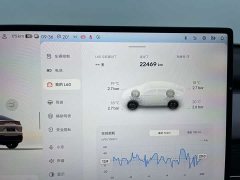 Nio Lerado L60 2024 60kWh Rear-Wheel Drive - ფოტო 9