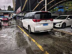 GAC Aion M8 Master Series 390T Luxury Edition - ფოტო 6