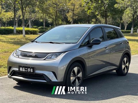2023 BYD Dolphin 420km Freedom Edition - ავტომობილი ჩინეთიდან