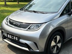 BYD Dolphin 420km Freedom Edition - ფოტო 2