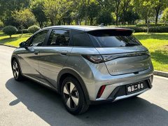BYD Dolphin 420km Freedom Edition - ფოტო 6