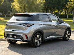 BYD Dolphin 420km Freedom Edition - ფოტო 8