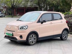 Leapmotor Leapo T03 2021 400 Luxury Pro - ფოტო 1