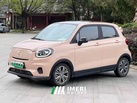 2022 Leapmotor Leapo T03 2021 400 Luxury Pro - ავტომობილი ჩინეთიდან