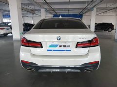BMW 5 Series 530Li Luxury M Sport Package - ფოტო 5
