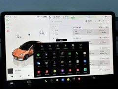Tesla Model 3 Rear-Wheel Drive - ფოტო 15