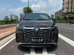 Buick GL8 Land Executive Cabin 652T Luxury - ფოტო 2