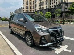 Buick GL8 Land Executive Cabin 652T Luxury - ფოტო 6
