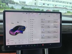 Tesla Model 3 2020 Facelift Standard Range RWD Upgrade - ფოტო 8