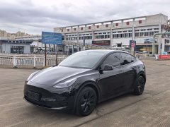 Tesla Model Y Rear-Wheel Drive - ფოტო 1