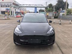 Tesla Model Y Rear-Wheel Drive - ფოტო 2