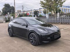 Tesla Model Y Rear-Wheel Drive - ფოტო 3
