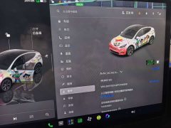 Tesla Model Y Rear-Wheel Drive - ფოტო 8