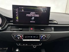 Audi A4L 200 Million Units Joyful Edition 40 TFSI Luxury Dynamic - ფოტო 18
