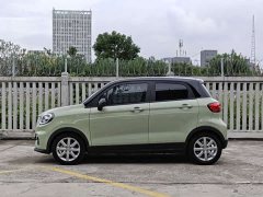 Leapmotor Leapo T03 Star Diamond Edition - ფოტო 4