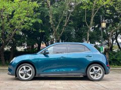 ORA Good Cat 400km Standard Range Luxury Ternary Lithium - ფოტო 14
