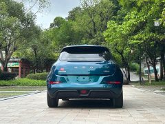 ORA Good Cat 400km Standard Range Luxury Ternary Lithium - ფოტო 16