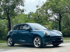 ORA Good Cat 400km Standard Range Luxury Ternary Lithium - ფოტო 3