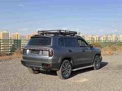 Great Wall Dachshund 1.5T DCT Border Collie Edition - ფოტო 4