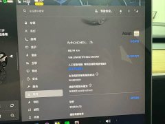 Tesla Model 3 Rear-Wheel Drive - ფოტო 10