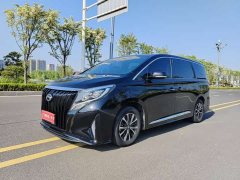 GAC Aion M8 2020 Flagship 390T Premium Edition - ფოტო 2