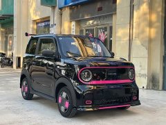 Geely Panda 2025 210km Panda Kart - ფოტო 3