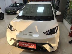 BYD Seagull Freedom Edition - ფოტო 1