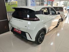 BYD Seagull Freedom Edition - ფოტო 11