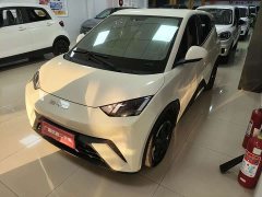 BYD Seagull Freedom Edition - ფოტო 2