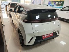 BYD Seagull Freedom Edition - ფოტო 9