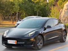 Tesla Model 3 Standard Range RWD Upgrade - ფოტო 1