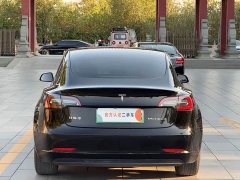 Tesla Model 3 Standard Range RWD Upgrade - ფოტო 12