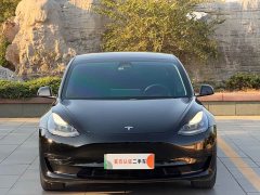 Tesla Model 3 Standard Range RWD Upgrade - ფოტო 2