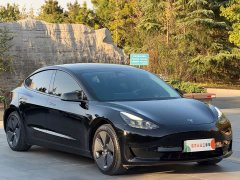 Tesla Model 3 Standard Range RWD Upgrade - ფოტო 3