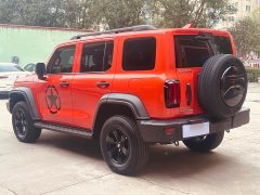 Tank 300 Off-Road Edition 2.0T Conqueror - ფოტო 6