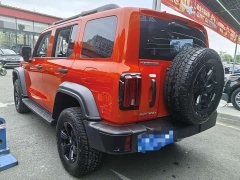 Tank 300 2.0T Gasoline Conqueror - ფოტო 13