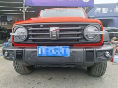 Tank 300 2.0T Gasoline Conqueror - ფოტო 2