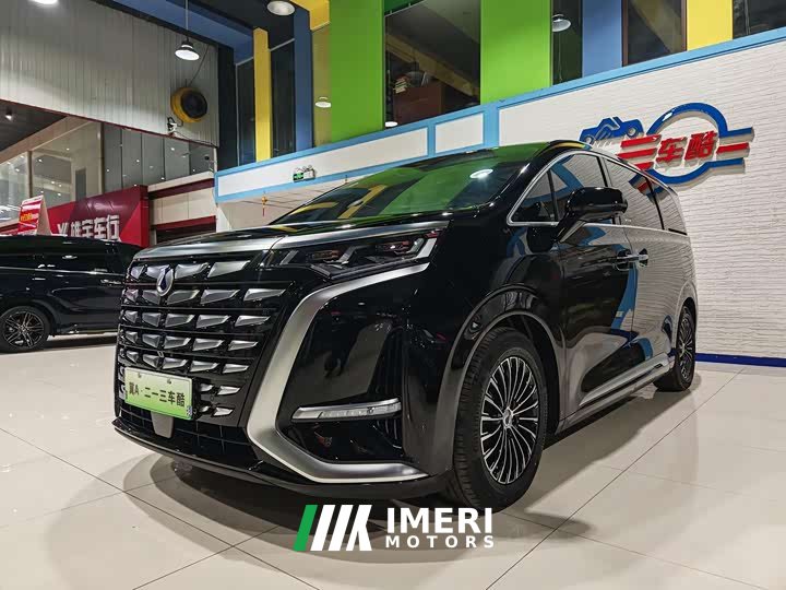 Denza D9 DM-i 980 AWD Luxury