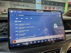 Denza BYD Denza D9 2024 DM-i 980 AWD Luxury - ფოტო 10